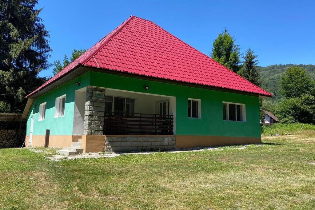 The Green House - Apuseni Mountains Pietroasa  Exteriör bild