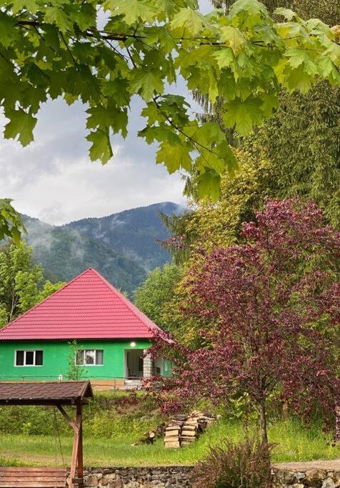 The Green House - Apuseni Mountains Pietroasa  Exteriör bild